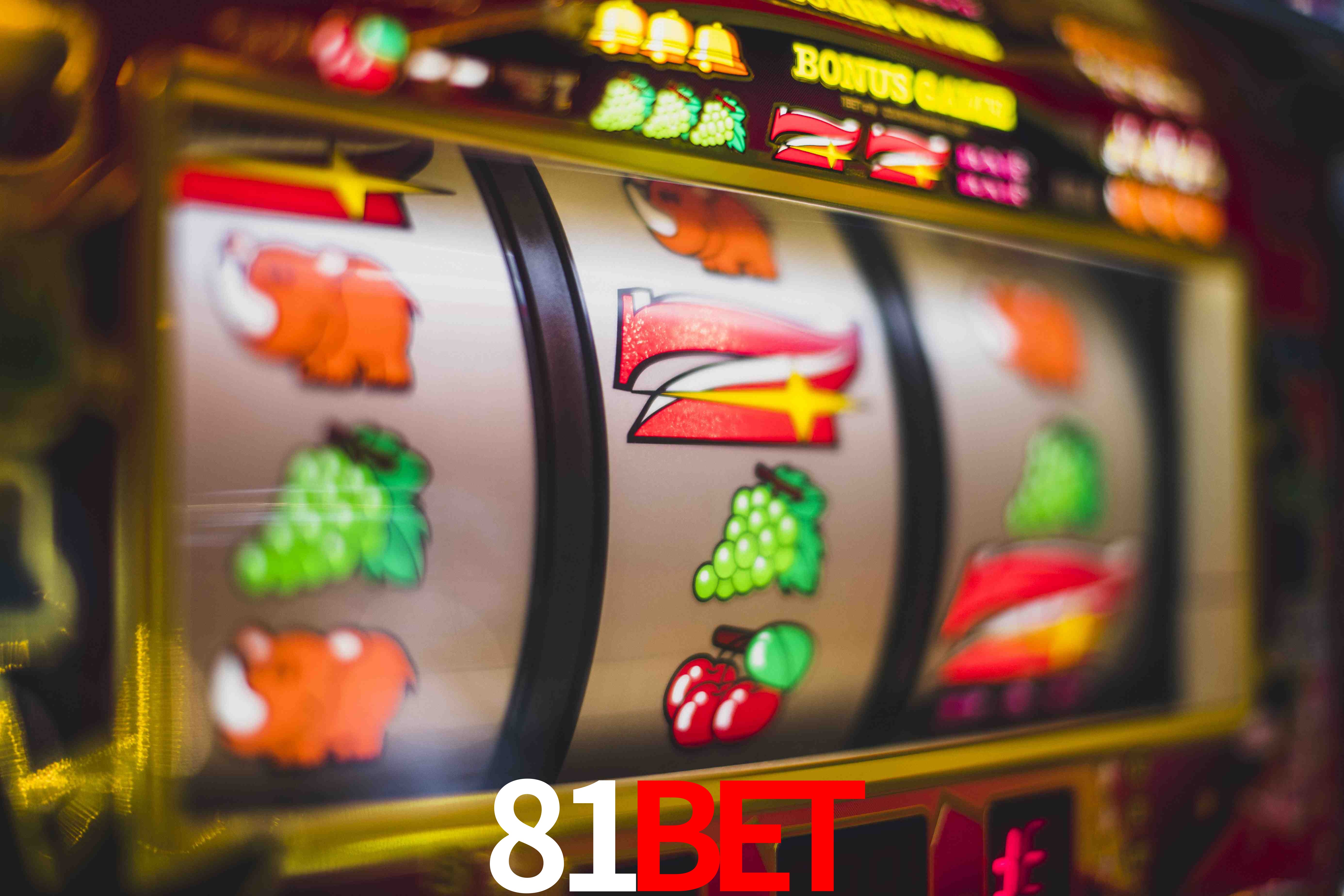 VIP Casino 81BET
